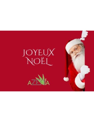 Carte cadeau Noël