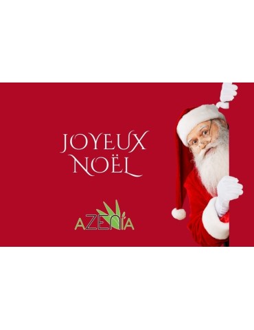 Carte cadeau Noël